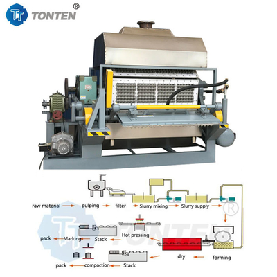 Papierpulp gietmachines Eierenbak Fruitbak Eenmalig tafelgerei