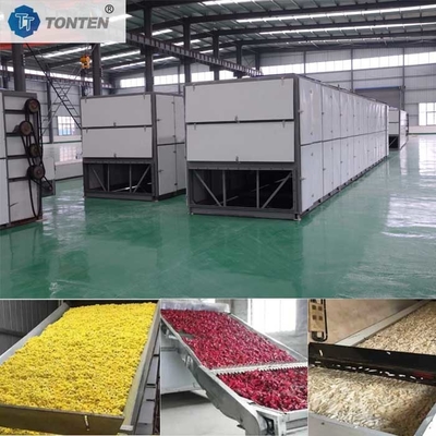 Litchi Appel Ananas Druiven Gordel Droogmachine Dehydrator Droogmachine