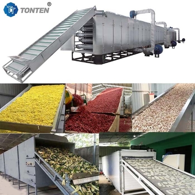 Groenten Cassava Belt Dryer Medicinale droogmachine Automatisch