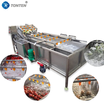 440V voedselreinigingsmachine industriële groentenwasmachine voor olijven avocado