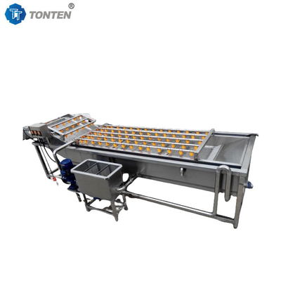 Volledig automatische bubbelmachine voor het wassen van groenten en fruit