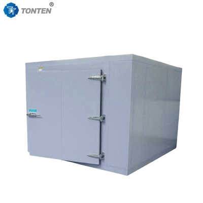 Koelkast Fruit Seafood Blast Cold Room Freezer opslag 20ft 40ft