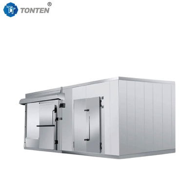 Koelkast Fruit Seafood Blast Cold Room Freezer opslag 20ft 40ft
